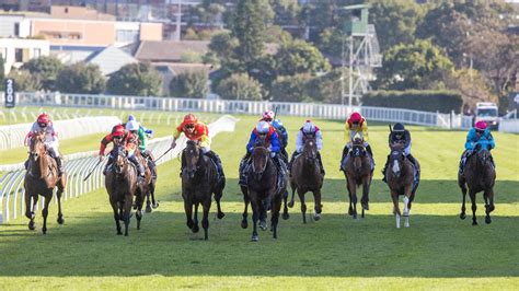 saturday racing fields and tips.